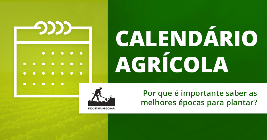 Calendário agrícola: Porque é importante saber as melhores épocas para plantar!