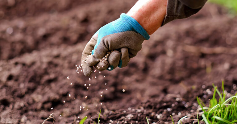 Preparo da terra: soluções sustentáveis e econômicas para os fertilizantes