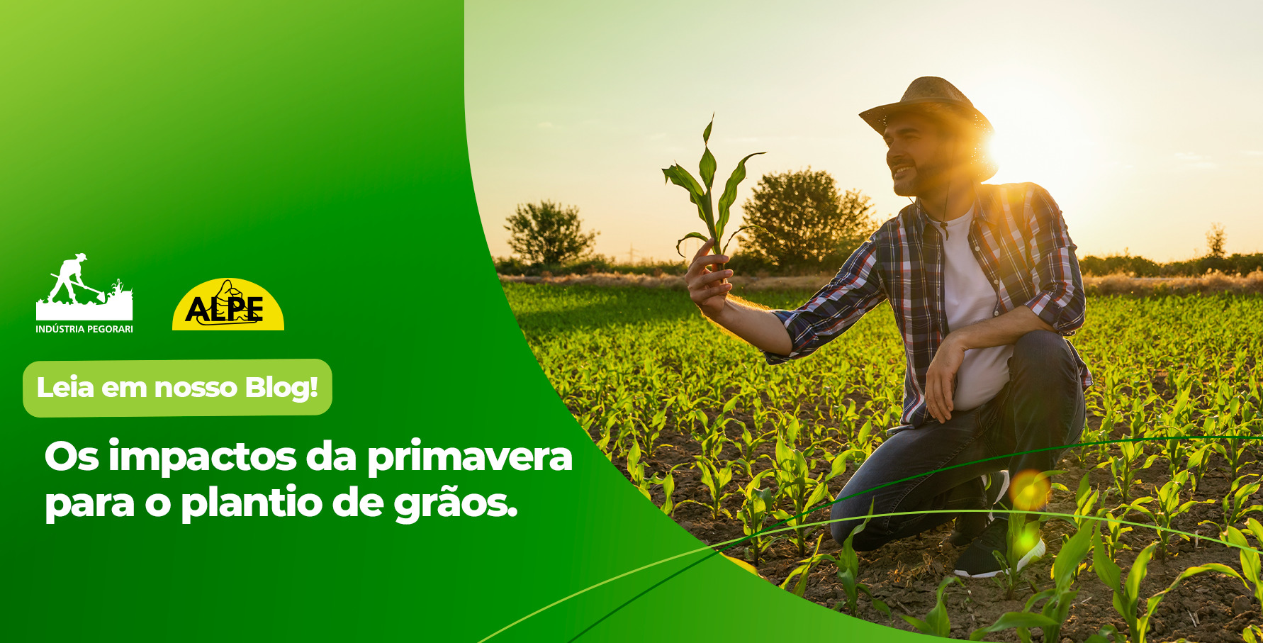 Read more about the article Descubra qual é a relação entre a primavera e o plantio de grãos e veja os impactos dessa estação na rotina da fazenda!