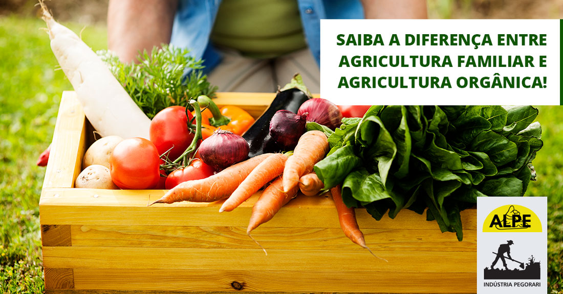 Saiba a diferença entre agricultura familiar e agricultura orgânica!